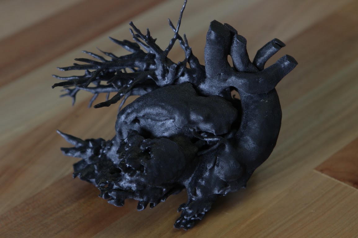 Flexible 3-D Heart Model