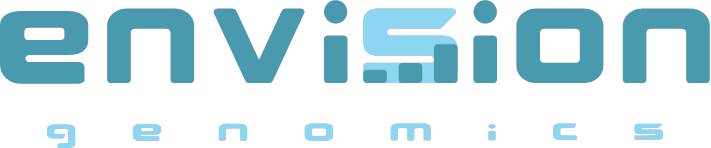Envision logo