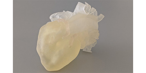 Pediatric heart model (size of a plum) printed in tissue-like material (Tissue Matrix and Agilus 30) on the Stratasys J750™ Digital Anatomy™ 3D Printer)