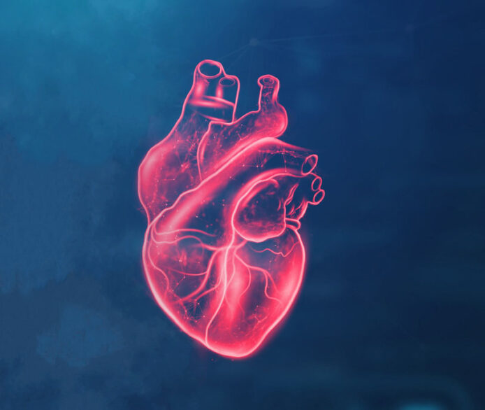 Heart 3D Image