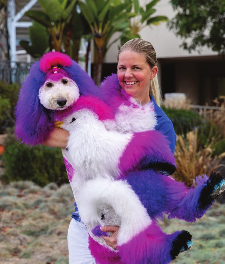 Volunteer Angela Schoonover holding Zoe, her pink and purple therapy poodle