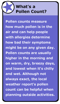 Seasonal Allergies Hay Fever