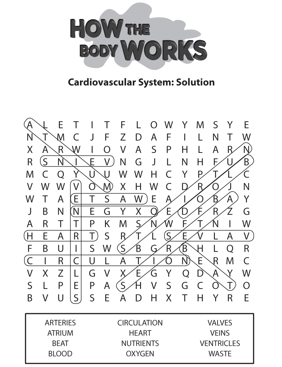 Wf Solution Heart Circulatory System
