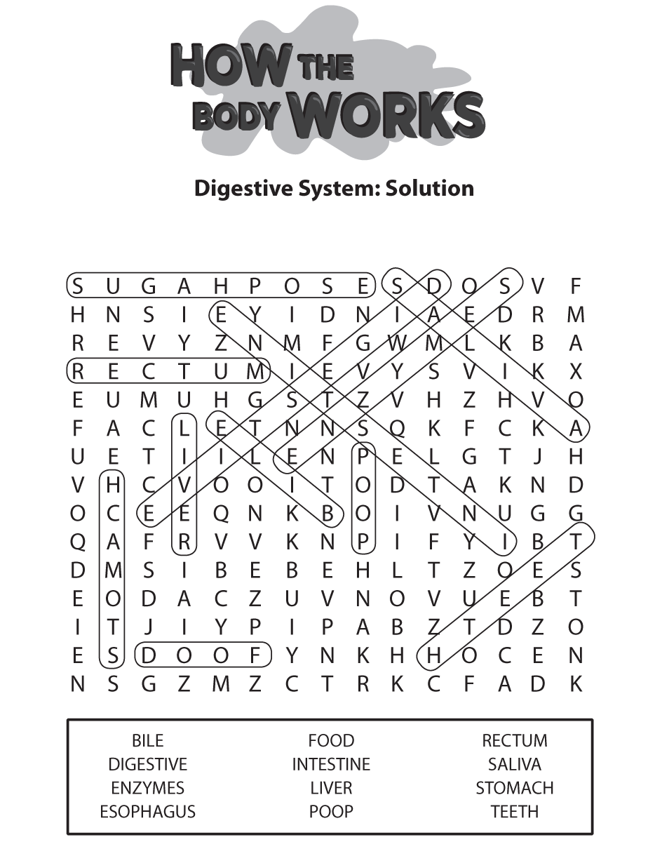 Wf Solution Digestive System