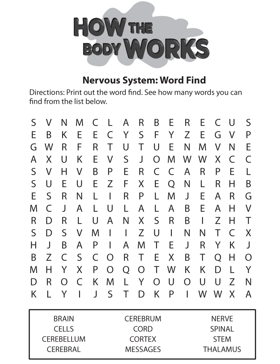 Word Find Brain Nervous System