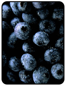 Picture of blueberries.