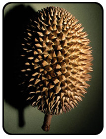 Picture of a durian.