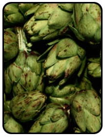 Picture of artichokes.