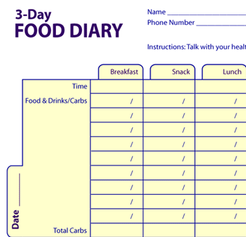 3 day food diary diet food log